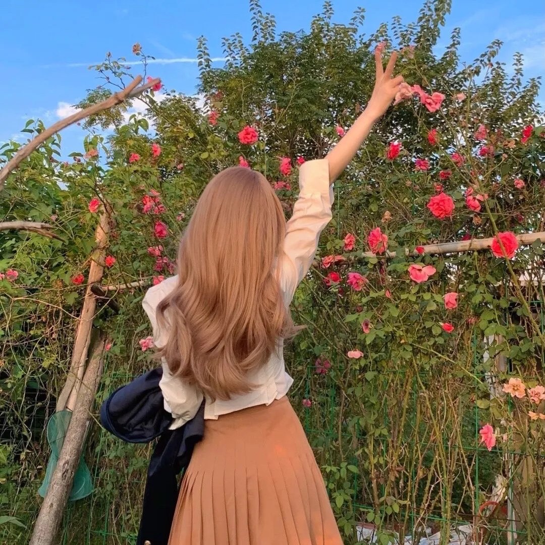 山菊